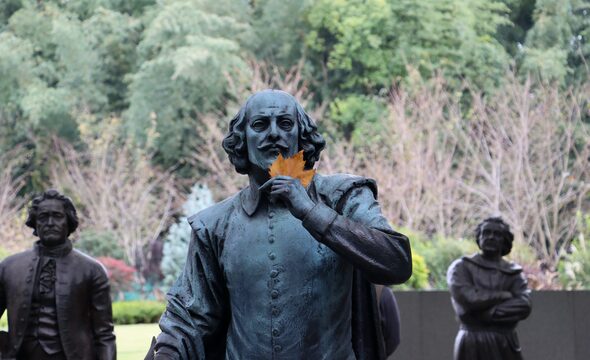 taha-sPoaeu0EDyA-unsplash (1)