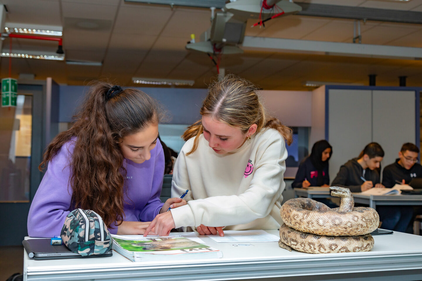 Pieter Nieuwland College Onze scholen Scholen